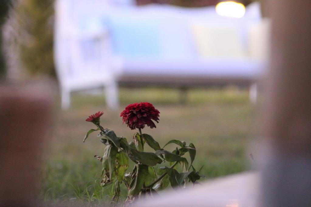 Destina Hotel Bozcaada Zewnętrze zdjęcie