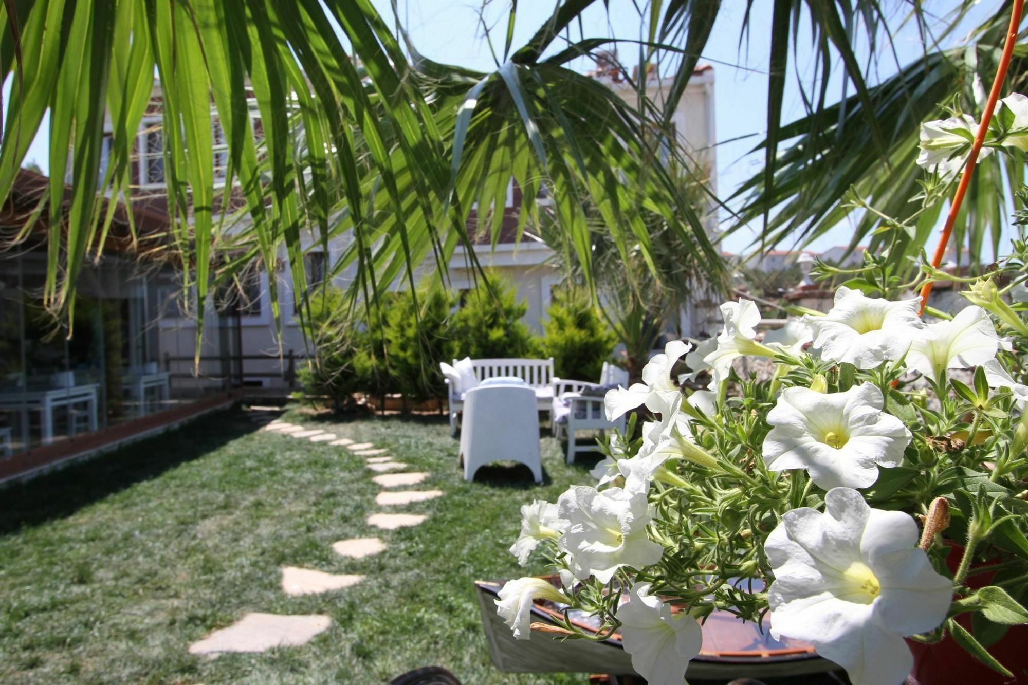 Destina Hotel Bozcaada Zewnętrze zdjęcie
